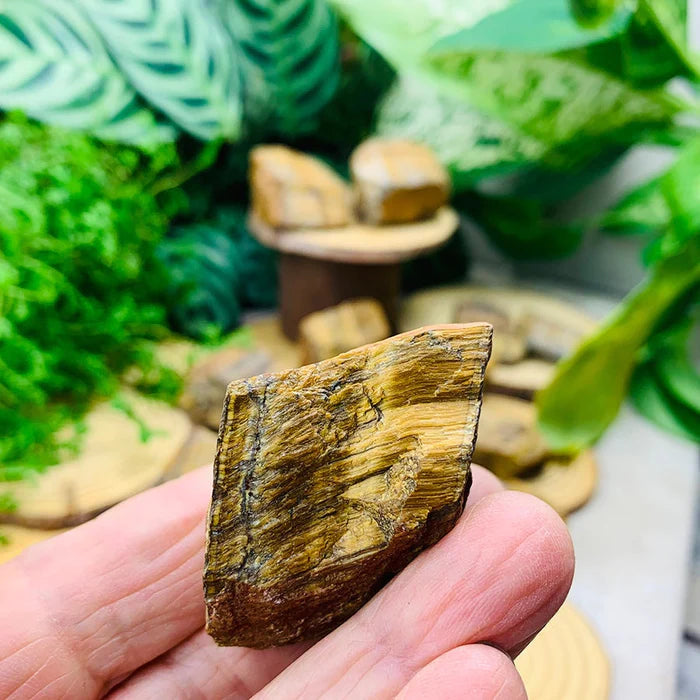 Tiger's Eye