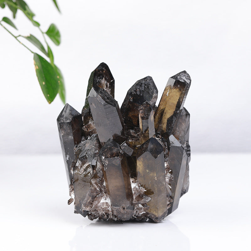 Natural Smoky Quartz Cluster Crystal Mineral Specimen