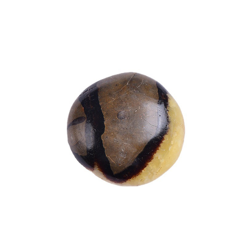 Natural Septarian Palm