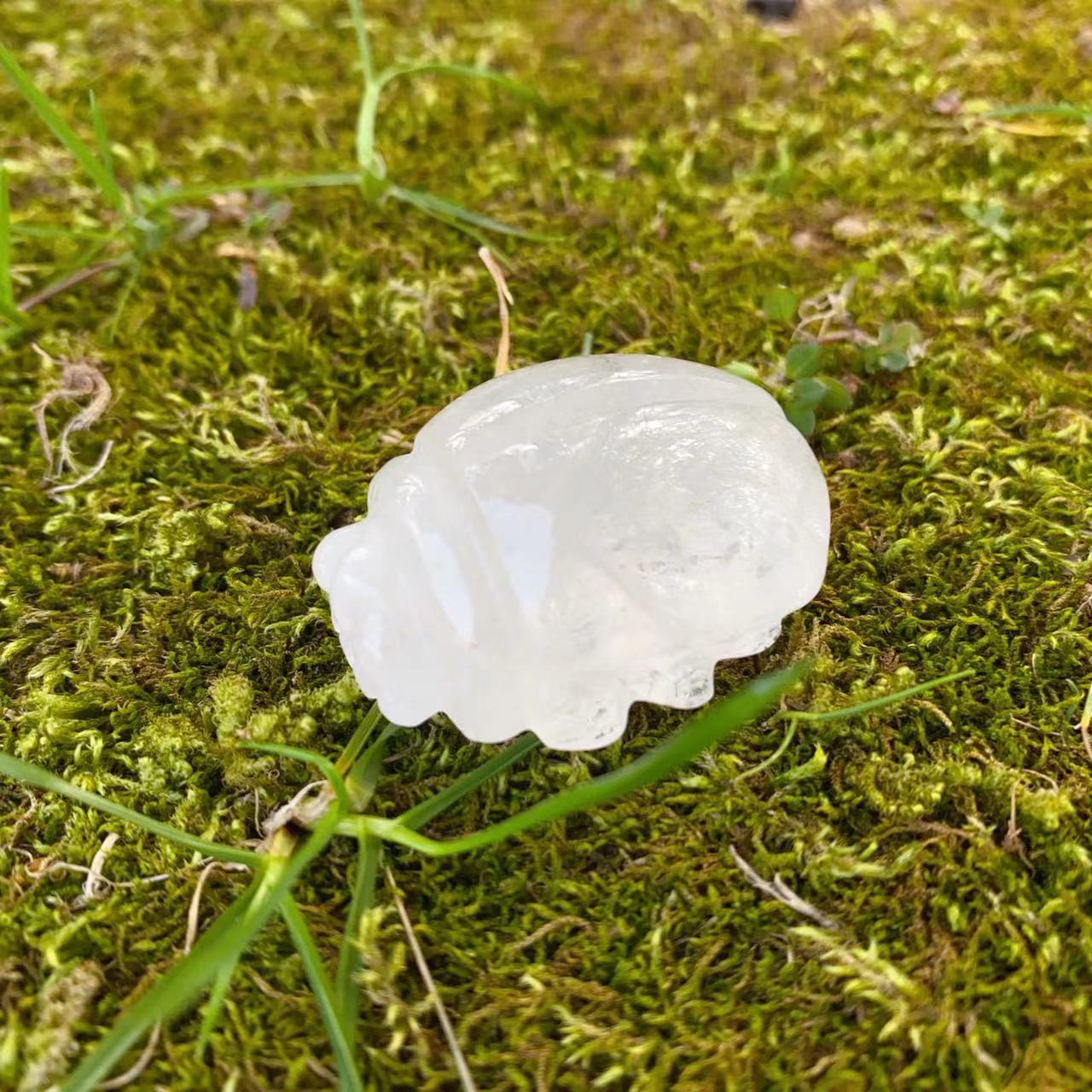 crystal stone carving beetle