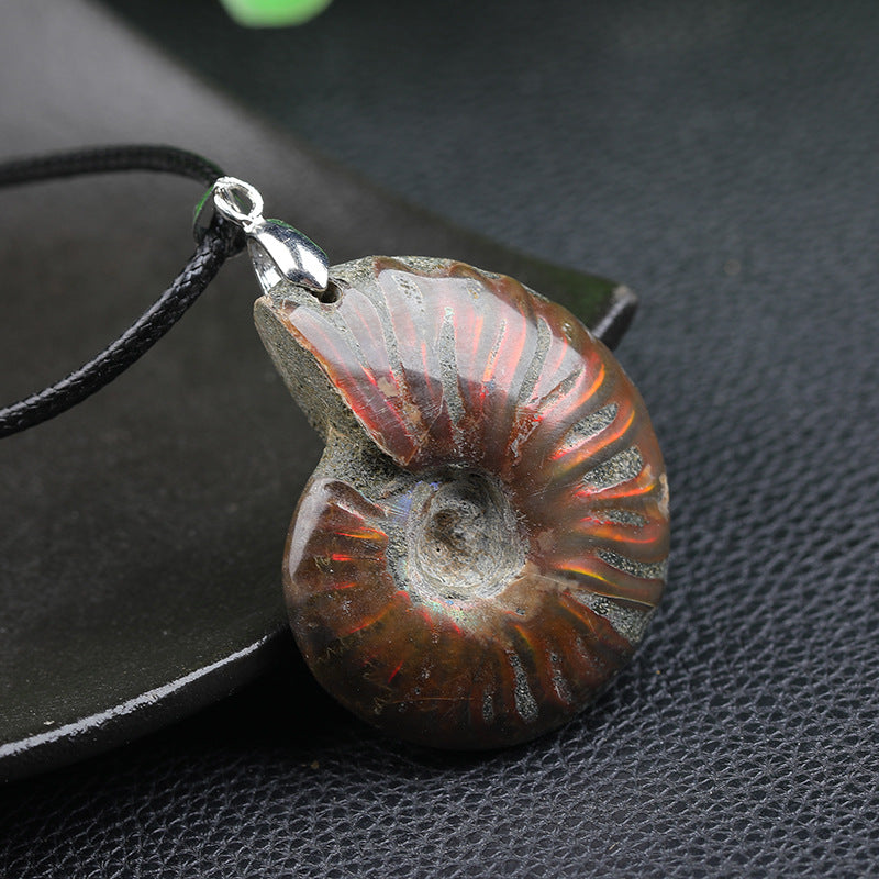 Natural Madagascar Ammonite Necklace