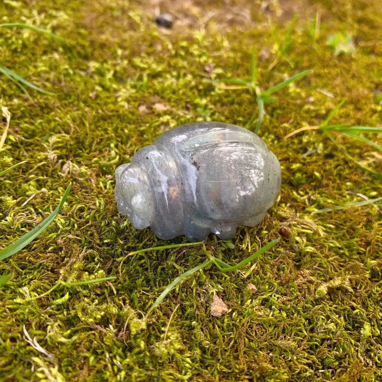 crystal stone carving beetle