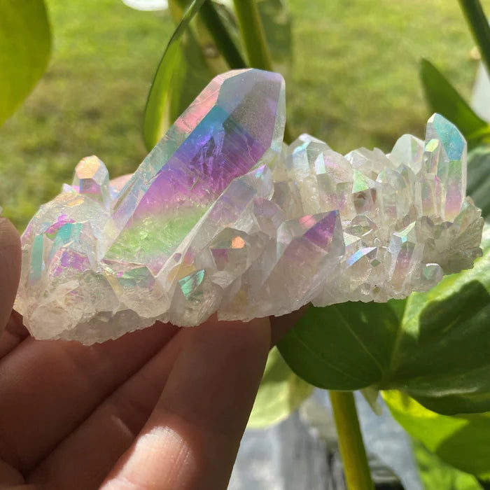 Angel Aura Cluster