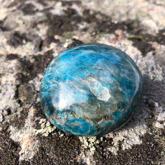 Apatite Palmstone