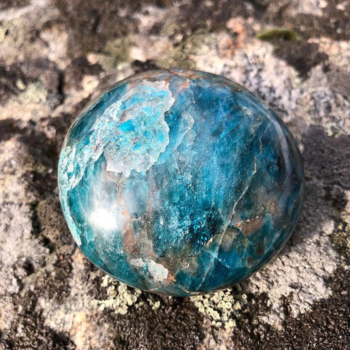 Apatite Palmstone