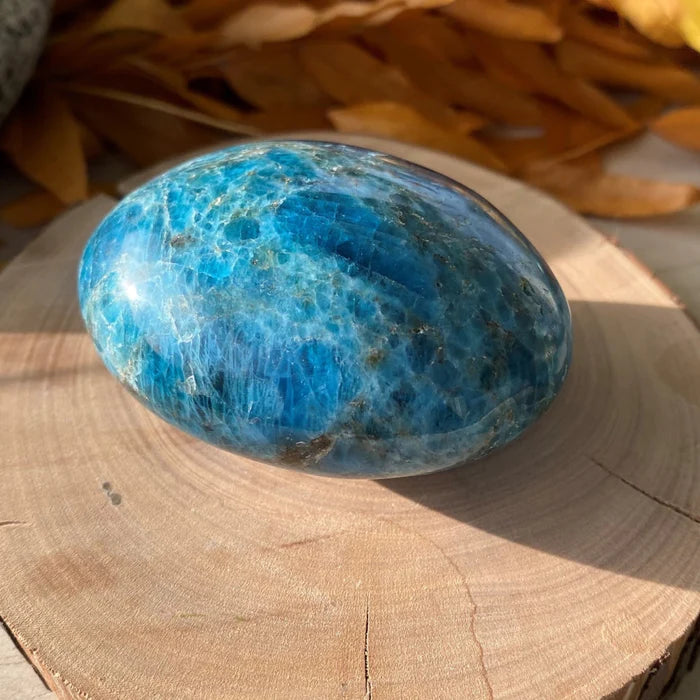 Apatite Palmstone