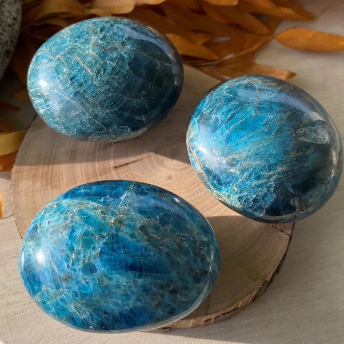 Apatite Palmstone