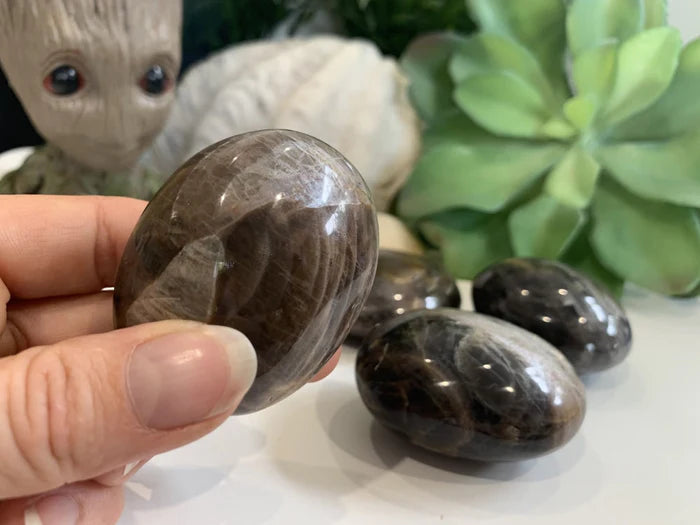 Black Moonstone Palmstone