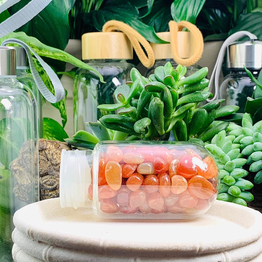 Carnelian Gem Pod Water Bottle