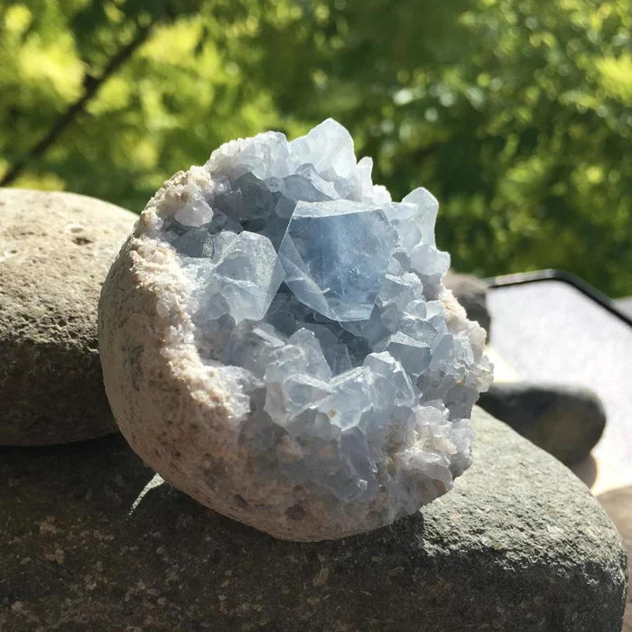 Celestite Geode Cluster