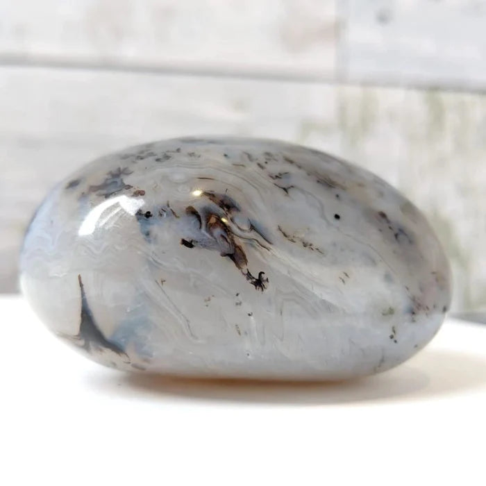 Chalcedony Palmstone