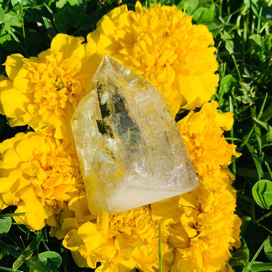 Citrine Generator (Short & Thick)