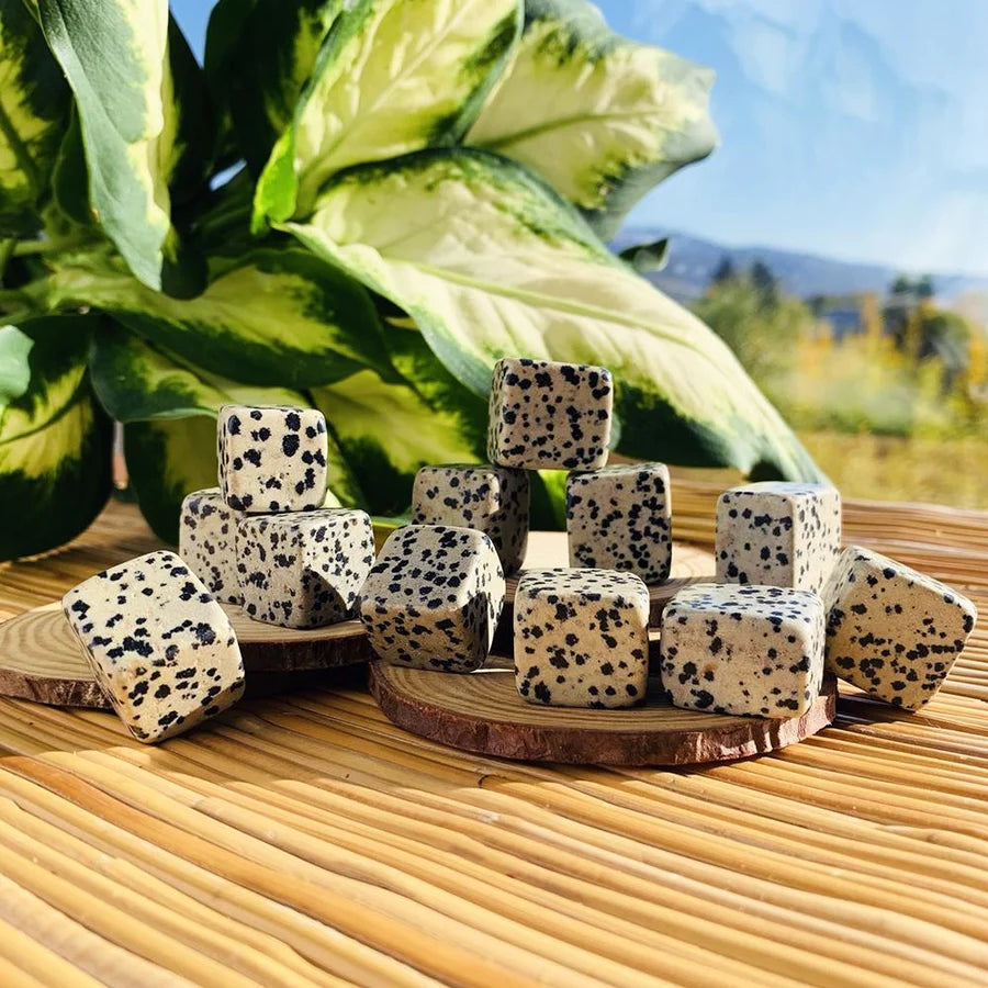 Dalmatian Jasper Tumbled Cube