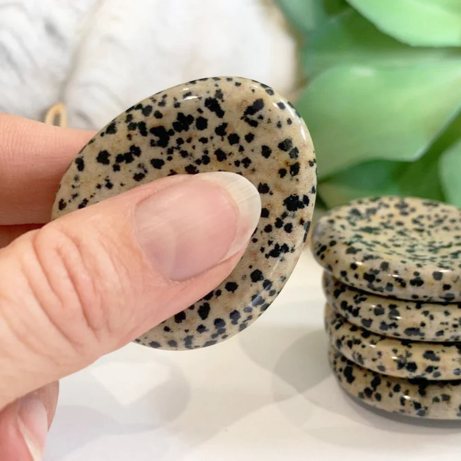 Dalmatian Jasper Worry Stone