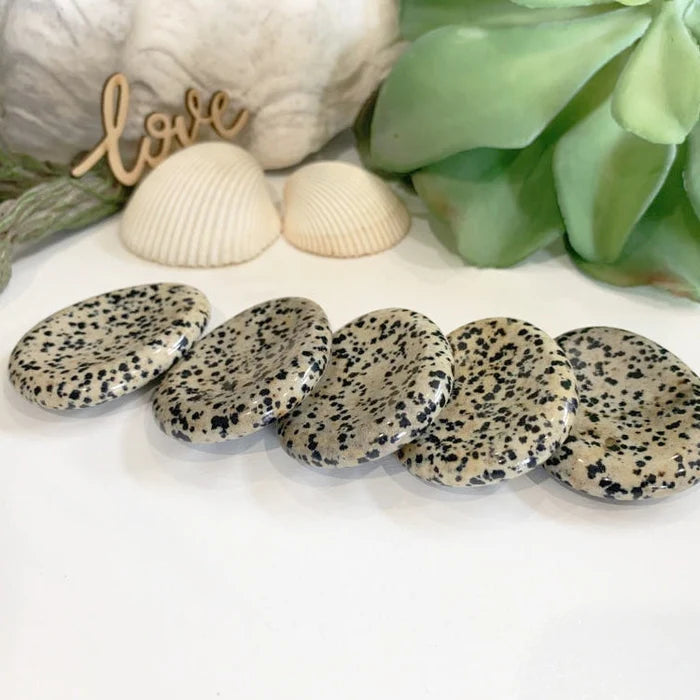 Dalmatian Jasper Worry Stone