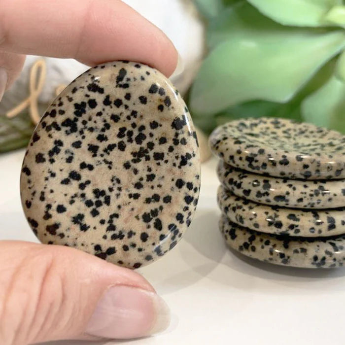 Dalmatian Jasper Worry Stone