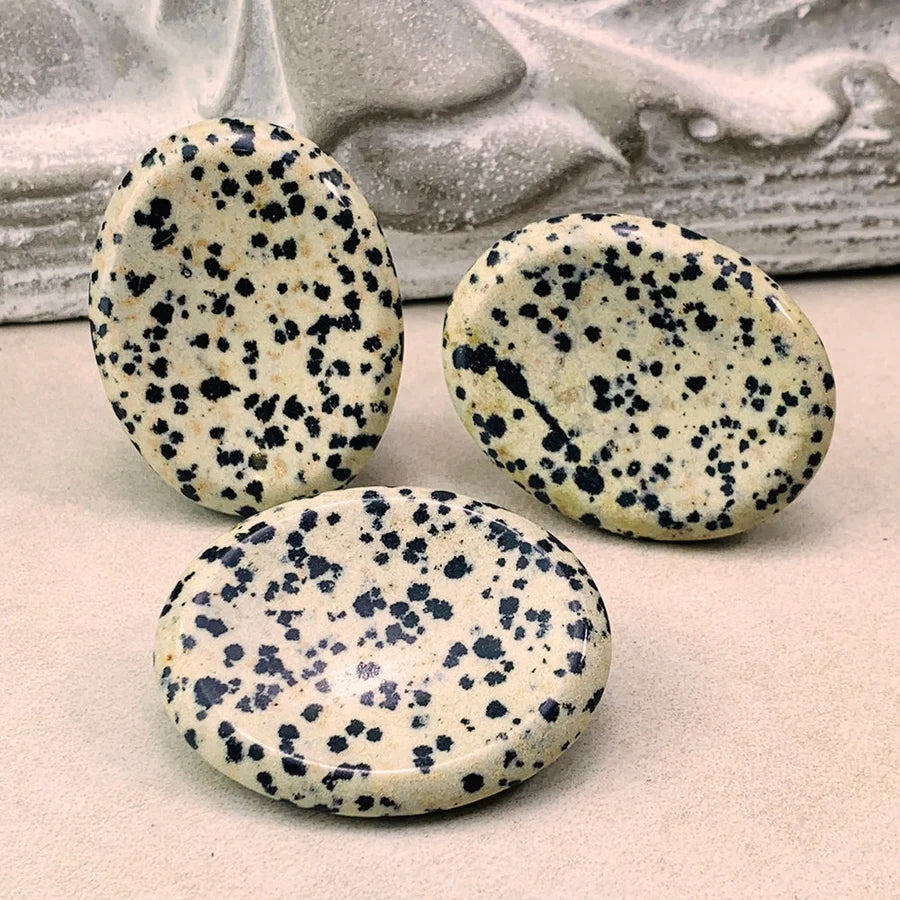 Dalmatian Jasper Worry Stone