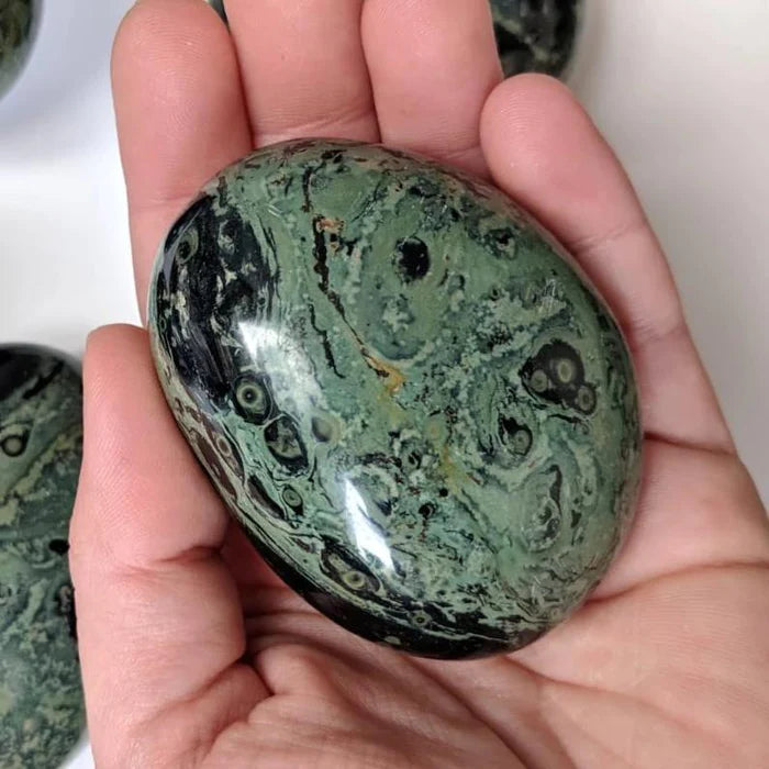 Kambaba Jasper Palmstone