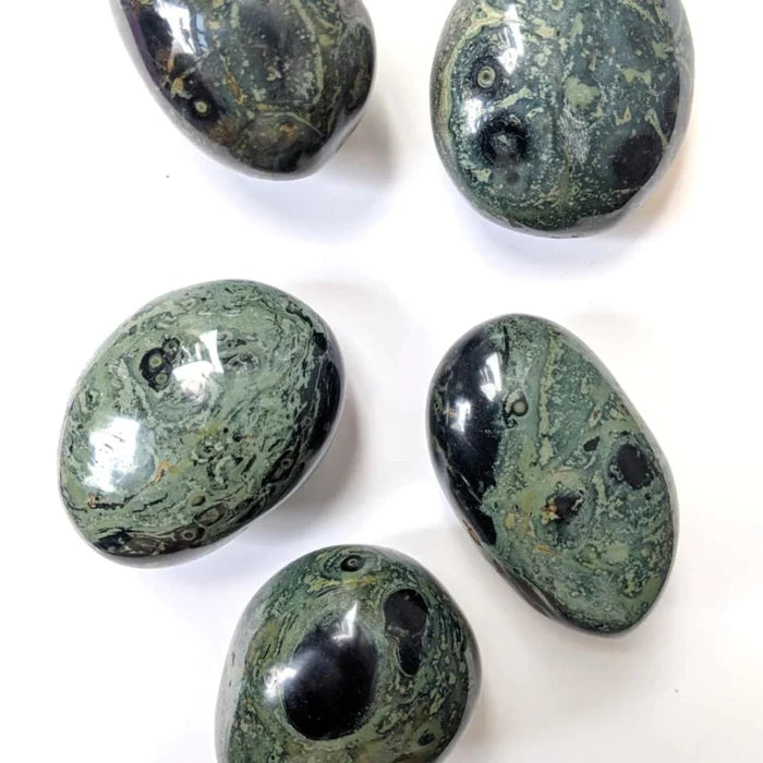 Kambaba Jasper Palmstone