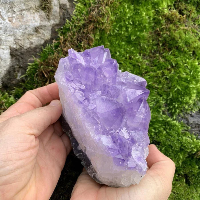 Large Amethyst Cluster