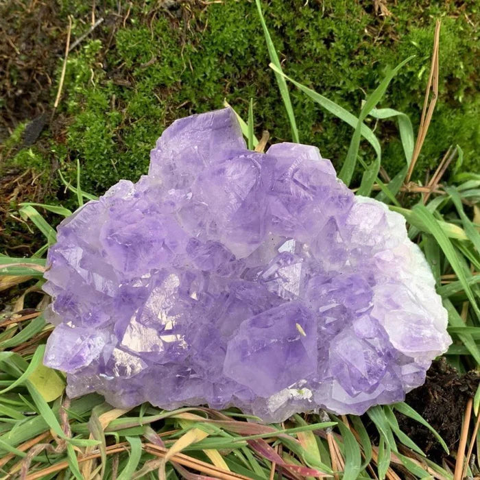 Large Amethyst Cluster