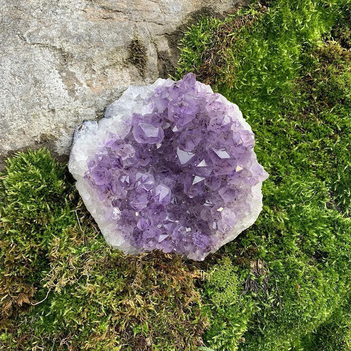 Large Amethyst Cluster