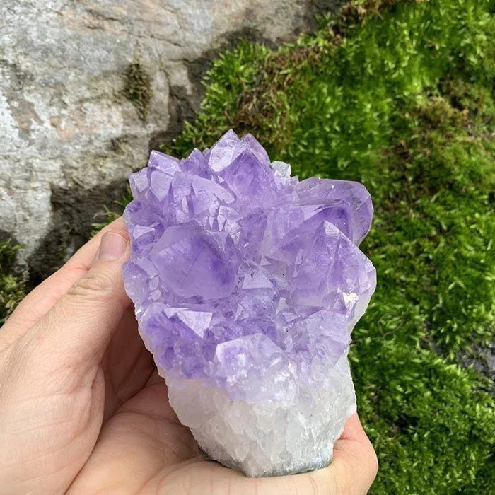 Large Amethyst Cluster