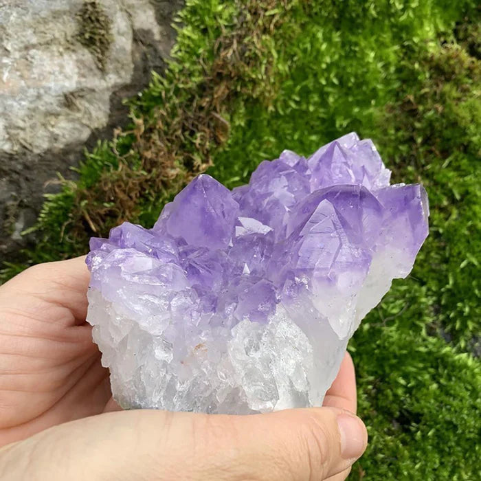 Large Amethyst Cluster