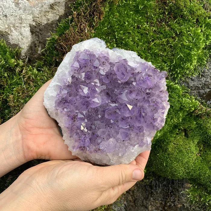 Large Amethyst Cluster