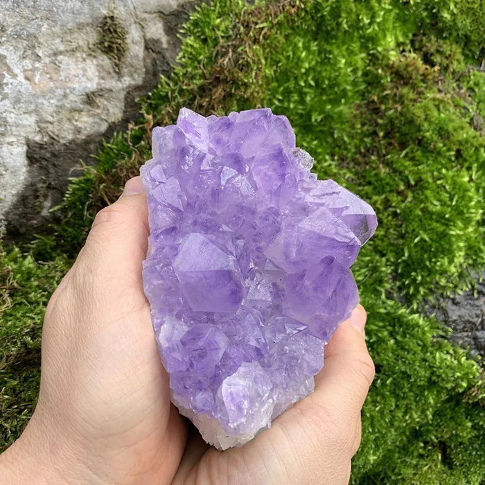 Large Amethyst Cluster