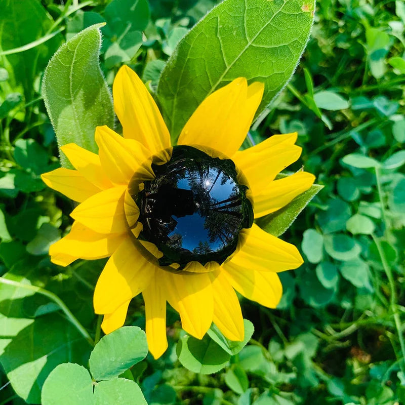 Obsidian Mini-Sphere