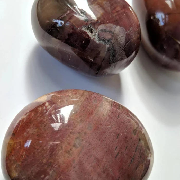 Petrified Wood Palmstone