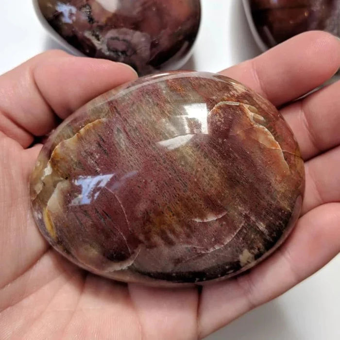 Petrified Wood Palmstone