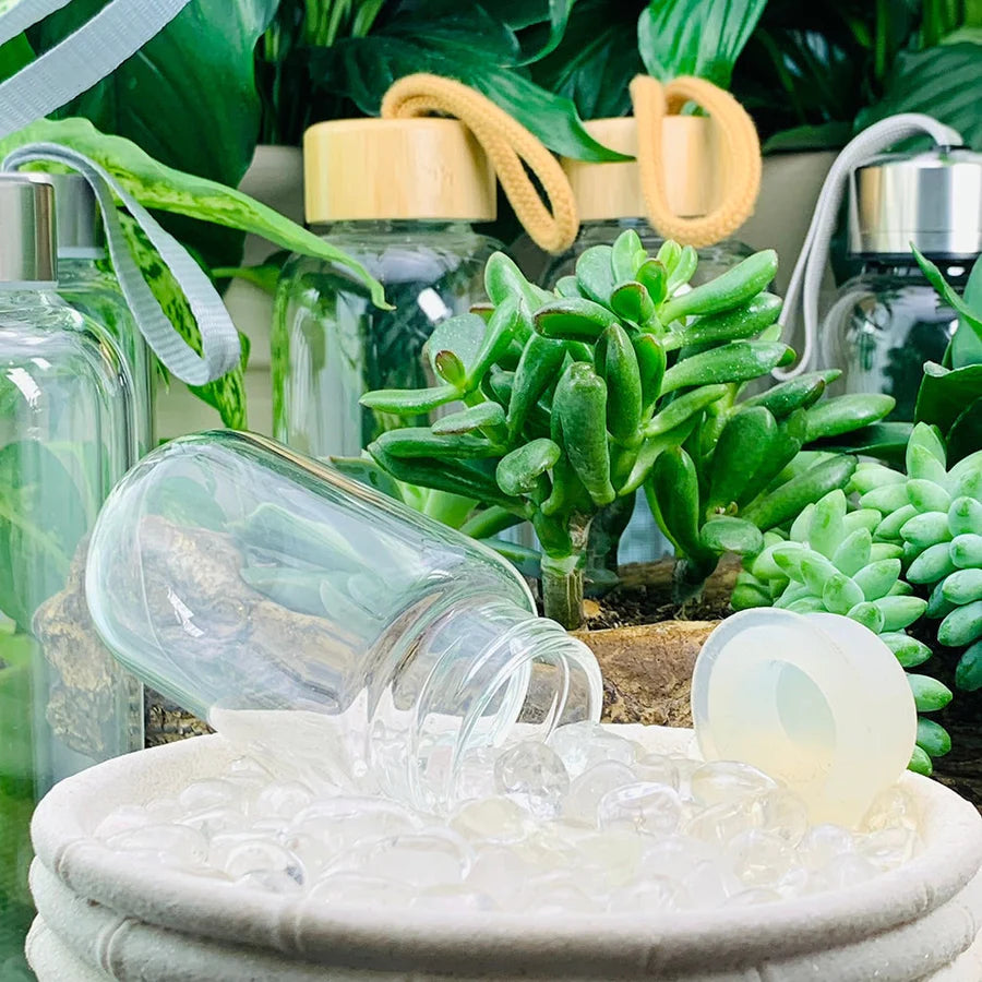 Quartz Gem Pod Water Bottle