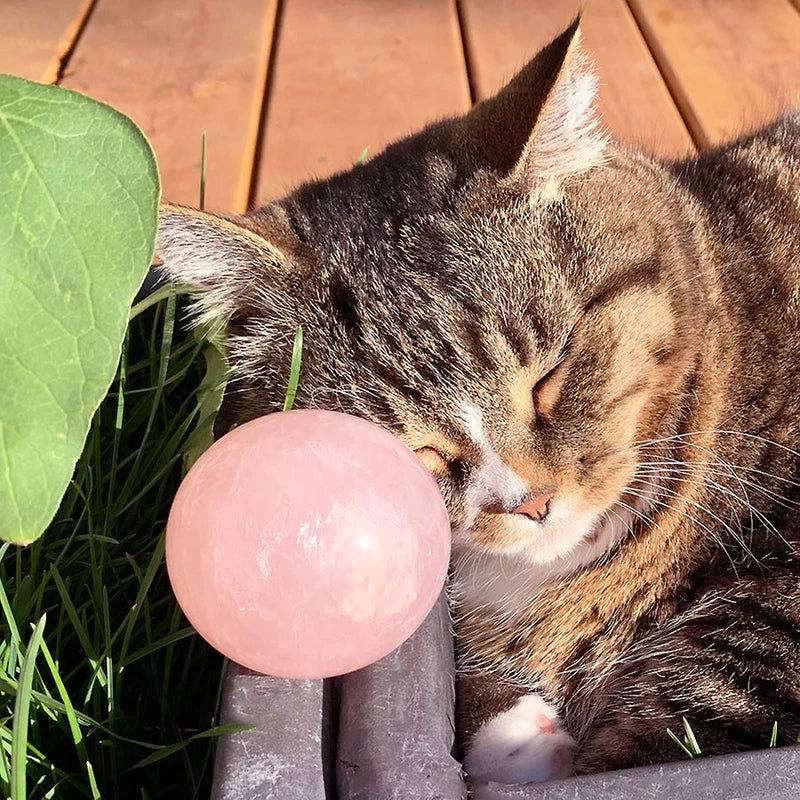 Rose Quartz Sphere