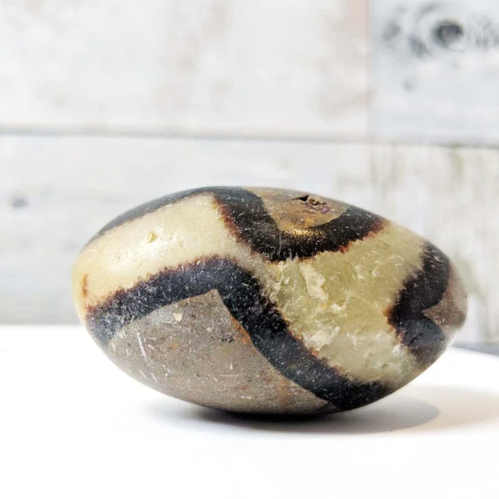 Septarian Palmstone