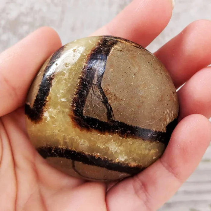 Septarian Palmstone