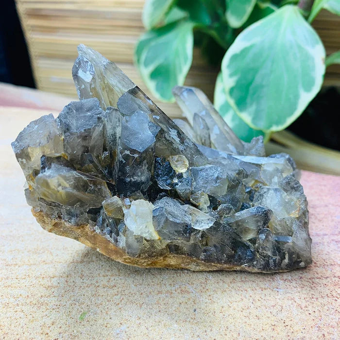 Smoky Quartz Cluster